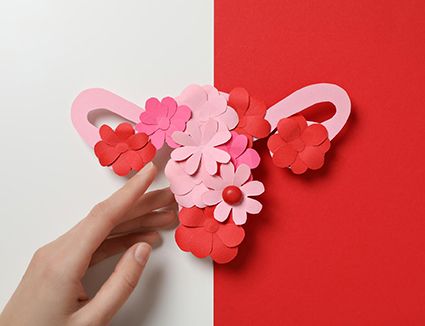 Difference Between Fibroids and PCOS Explained