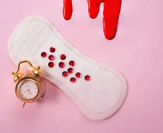 First Period to Menopause