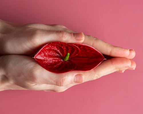 Best Doctor for PCOS and Uterine Fibroids In Hyderabad