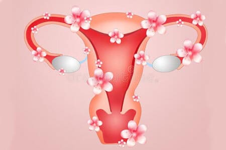 Abnormal Uterine Bleeding