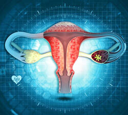 Gynecology
